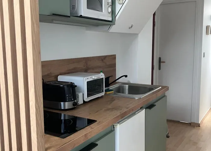 Centre-ville Climatise Avec Parking Gratuit Clermont-Ferrand